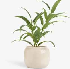 Blomsterpotte MARCUS Ø16xH13cm beige