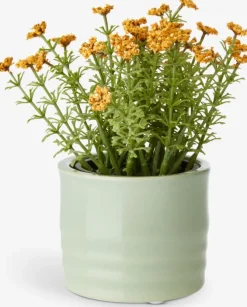 Blomsterpotte TIM Ø9xH7cm assorteret