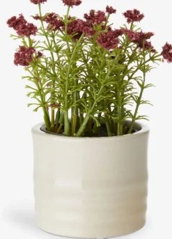 Blomsterpotte TIM Ø9xH7cm assorteret