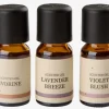 Duftolie LEON 10ml 3 stk/pk