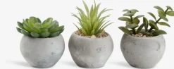 Kunstig plante BROR Ø7xH9cm assorteret