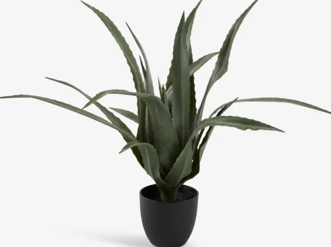 Kunstig plante CELIUS H65cm