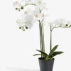 Kunstig plante MATINUS H62cm m/blomster