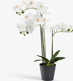 Kunstig plante MATINUS H62cm m/blomster
