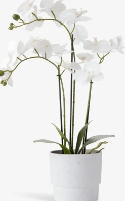 Kunstig plante MATINUS H62cm m/blomster