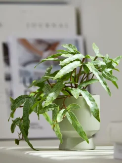 Kunstig plante OLSEN Ø9xH20cm m/potte