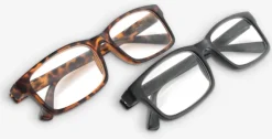 Læsebriller MOGENS assorteret