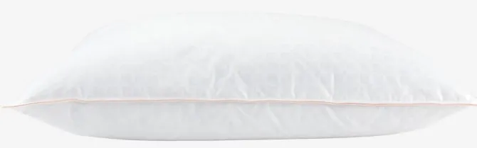 Moskusdunpude 60x63/70 KRONBORG STORRONDEN høj