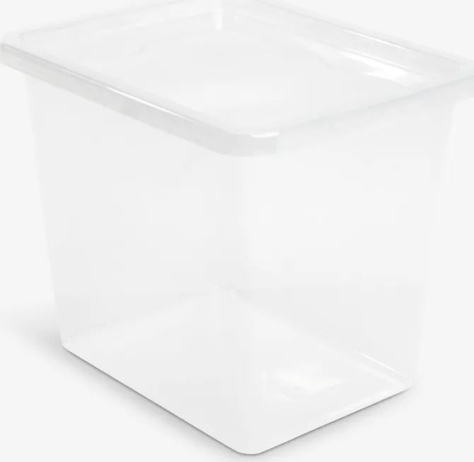 Opbevaringsboks BASIC BOX 31L m/låg transparent