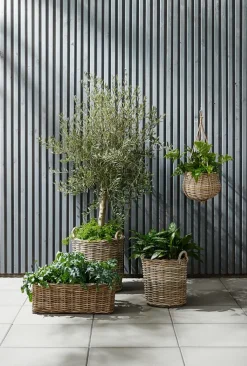 Plantekurv SANSEBIE Ø40/50 kubu natur 2 stk/sæt