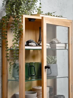 Vægskab RIBE 1 glaslåge natur